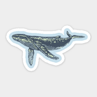 Whale Sticker