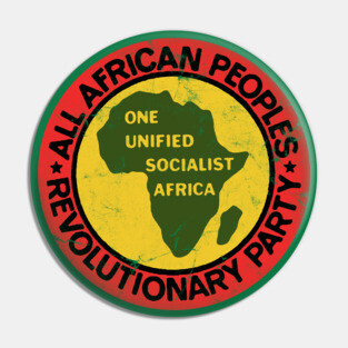 All African Peoples Party / 70s Black Civil Rights Pin