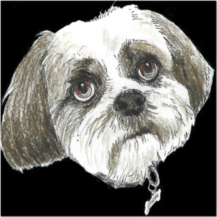 Boche Posters and Art