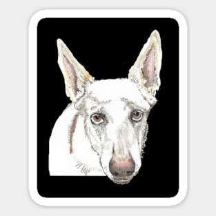 White shepherd SAFFY Sticker