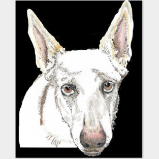 White shepherd SAFFY Posters and Art