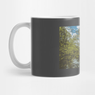 Biltmore Estate Mug