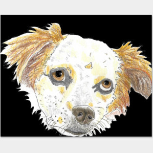 Meepo Posters and Art