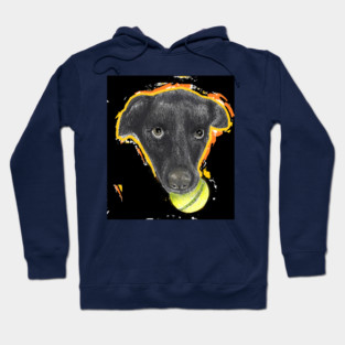Athena Hoodie