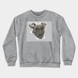Luna Crewneck Sweatshirt