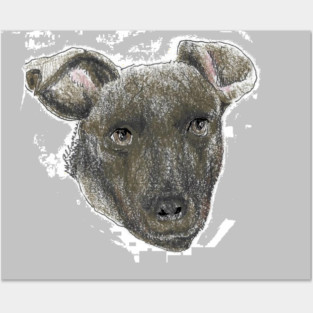 Luna Posters and Art