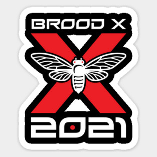 Cicada Brood X 2021 Reemergence Theme Minimalist design Magnet