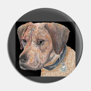 Annie Pin