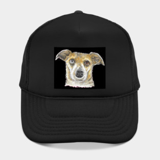 Eyes of a different color pup Hat