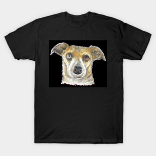 Eyes of a different color pup T-Shirt