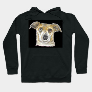 Eyes of a different color pup Hoodie