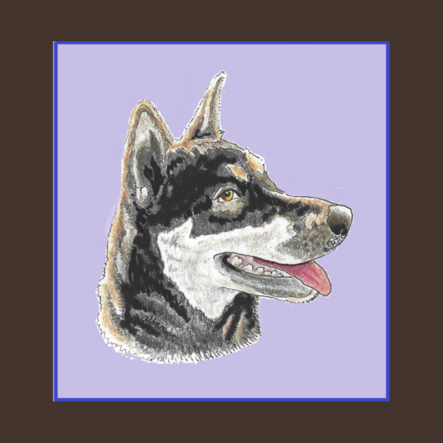 Angel the Husky by Dr. Mary