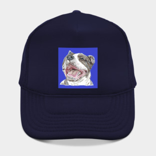 June, the rescue dog. Hat