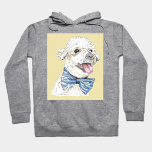 Rescue poodle Hoodie