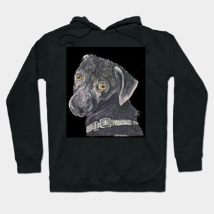 North, the fashion model dog Hoodie