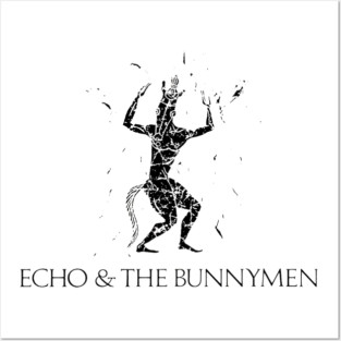 Echo & The Bunnyman Posters and Art