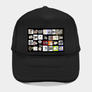 All my dog friends. Hat