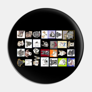 All my dog friends. Pin