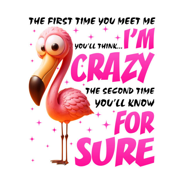 Pink Flamingo You'll Think I'm Crazy Flamingo Lover Pink