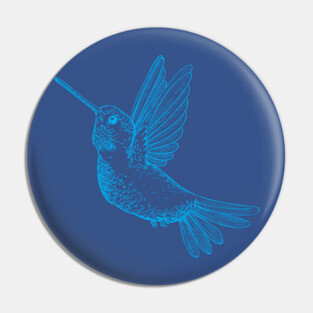 Hummingbird Pin