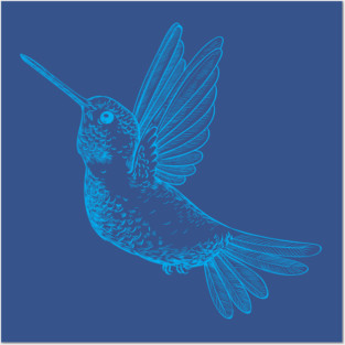 Hummingbird Posters and Art