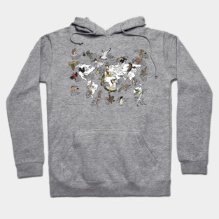 Bird migration map Hoodie