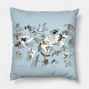 Bird migration map Pillow