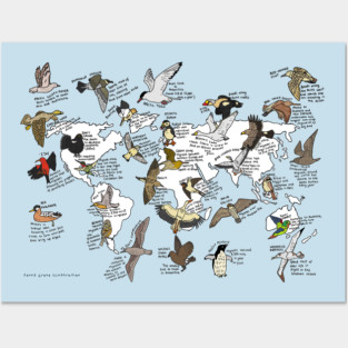 Bird migration map Posters and Art