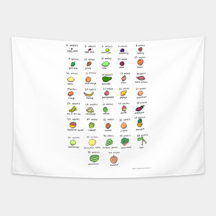 Baby size chart - fruit and veg Tapestry