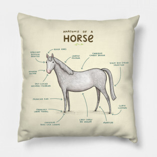 Anatomy of a Horse Pillow