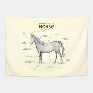 Anatomy of a Horse Tapestry