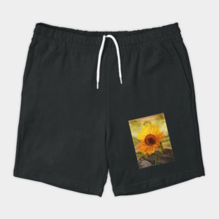 Sunflower Shorts