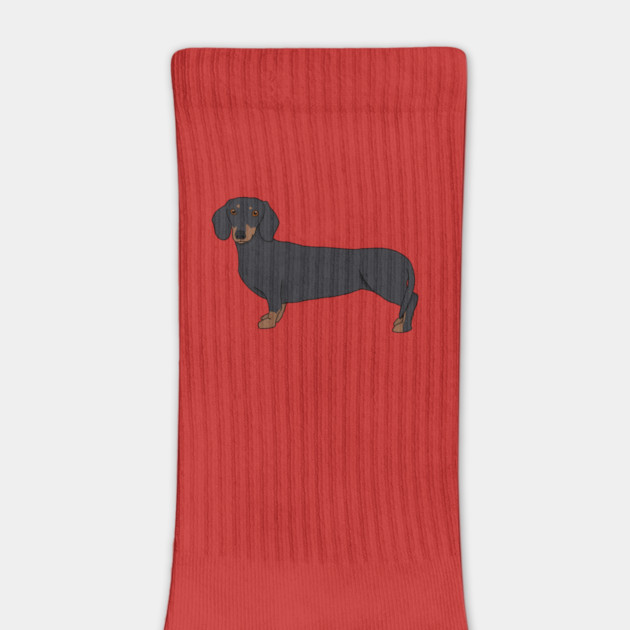 dachshund by AMCArts