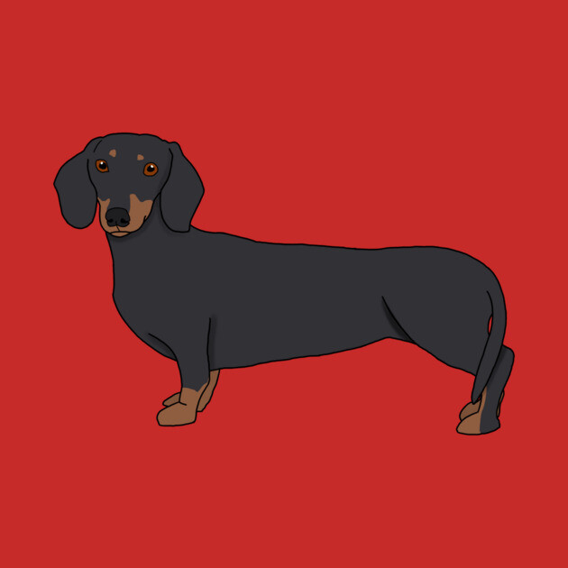 dachshund by AMCArts