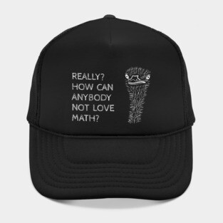 How Can You Not Love Math? Hat