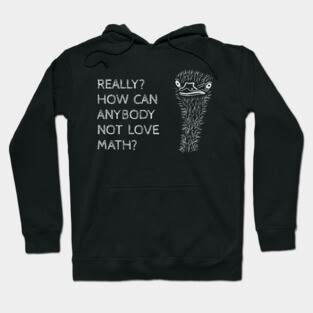How Can You Not Love Math? Hoodie