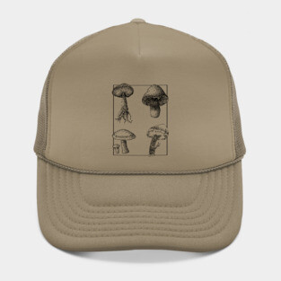 Botanical Mushrooms lineart Hat