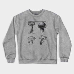Botanical Mushrooms lineart Crewneck Sweatshirt
