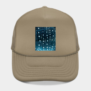 Whale shark skin Hat