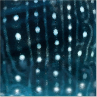 Whale shark skin Posters and Art