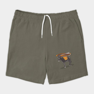 SURF DONKEY Shorts