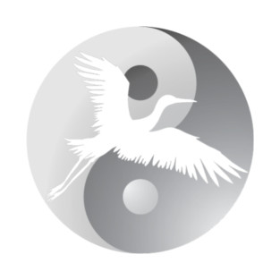 All Gain No Pain, Tai Chi Wellbeing T-Shirt