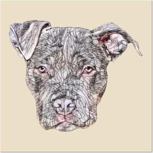 American Pit Bull Terrier Face Posters and Art