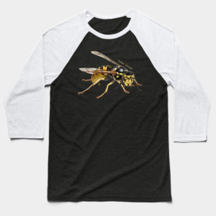 Yellow Jacket, deciding... Baseball T-Shirt