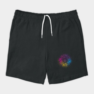 Old Compass Shorts