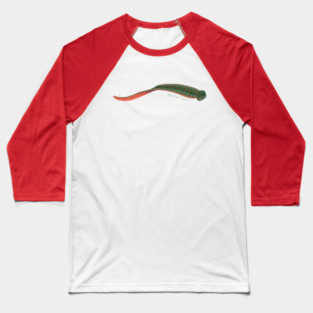 LEECH!!! Baseball T-Shirt