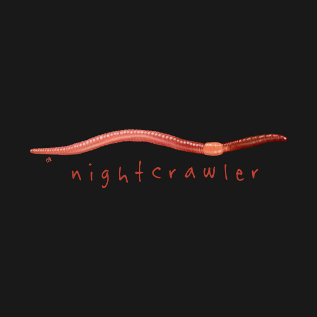 Nightcrawler! by John Himmelman