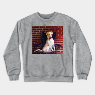 Catahoula Leopard Dog Crewneck Sweatshirt