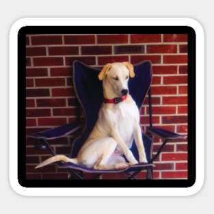 Catahoula Leopard Dog Sticker