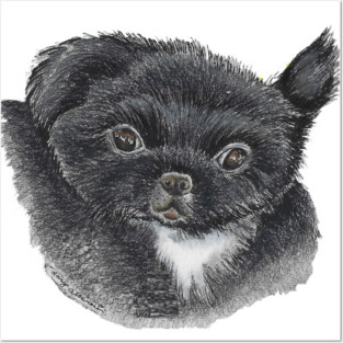 Baby Lucca Posters and Art